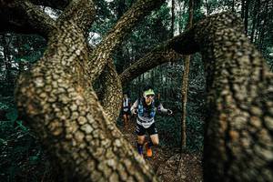 BIB: 
                            <button type="button" onclick="openModal(25393512)" class="btn btn-primary btn-sm float-right btn-popup" data-toggle="modal" data-target=".modal-high-quality">
                        <i class="fas fa-shopping-cart"></i> Add to Cart
                    </button>
                                            <button type="button" onclick="isThisMe(25393512, true)" class="btn btn-success btn-sm float-right btn-popup btn-isme hidden" data-toggle="tooltip" data-placement="bottom" title="นี่คือรูปของคุณใช่ไหม คลิกที่นี่เพื่อเอาเข้าอัลบั้ม">
                        <i class="fas fa-plus"></i> Add to album
                    </button>
                    <button type="button" onclick="isThisMe(25393512, false)" class="btn btn-warning btn-sm float-right btn-popup btn-isnotme hidden">
                        <i class="fas fa-ban"></i> Remove from album
                    </button>